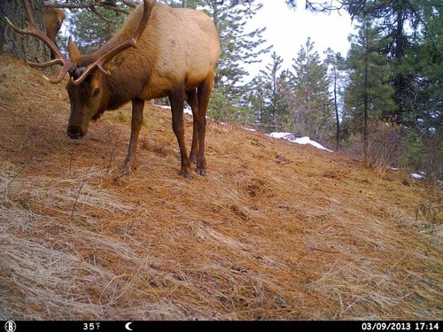 HUNT0119.jpg HUNT0119.jpg