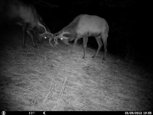 HUNT0175.jpg HUNT0175.jpg