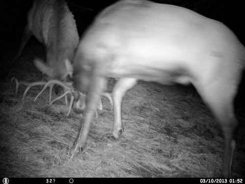 HUNT0226.jpg HUNT0226.jpg