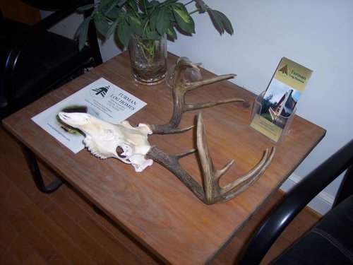 100_4138.jpg 100_4138.jpg