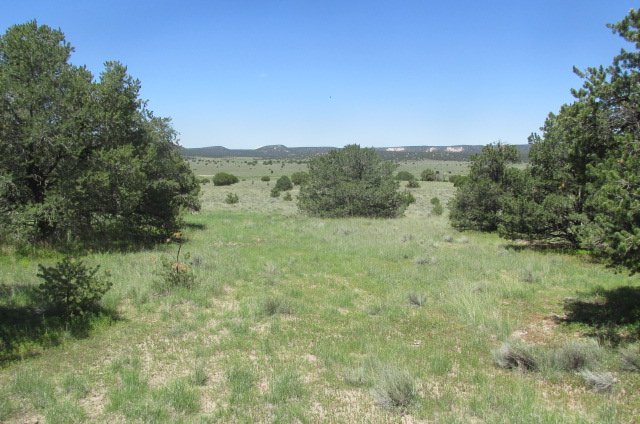IMG_0131.JPG IMG_0131.JPG