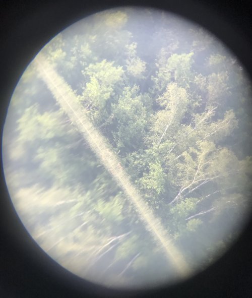 7CE0DC3B-B491-4661-838E-87C5F2F5D754.jpeg 7CE0DC3B-B491-4661-838E-87C5F2F5D754.jpeg
