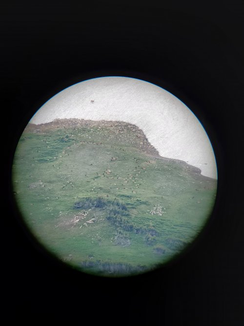 20220714_144350.jpg