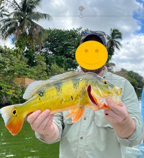 Peacock Bass Redacted.png