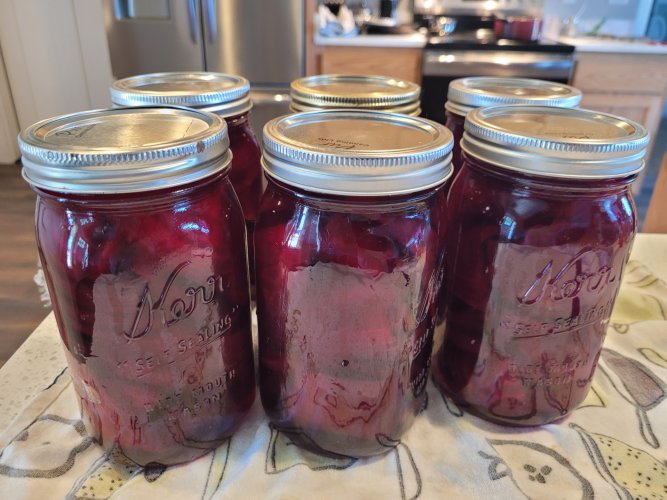 pickled beets.jpg