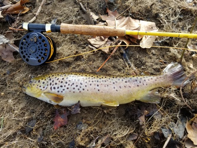 WTS Orvis Clearwater 8'6 5wt Fly Rod, 2 piece-Excellent Condition