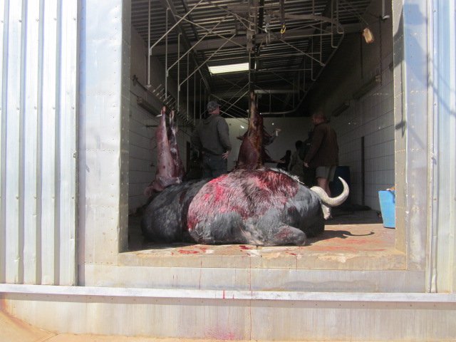 IMG_1745.JPG IMG_1745.JPG