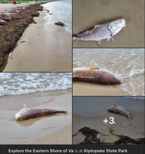 Screen Shot 2022-07-26 at 8.34.23 PM.png Screen Shot 2022-07-26 at 8.34.23 PM.png