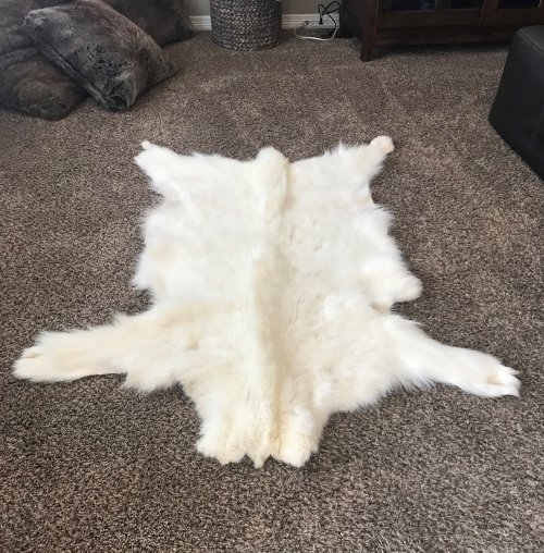 Goat Rug.jpg Goat Rug.jpg
