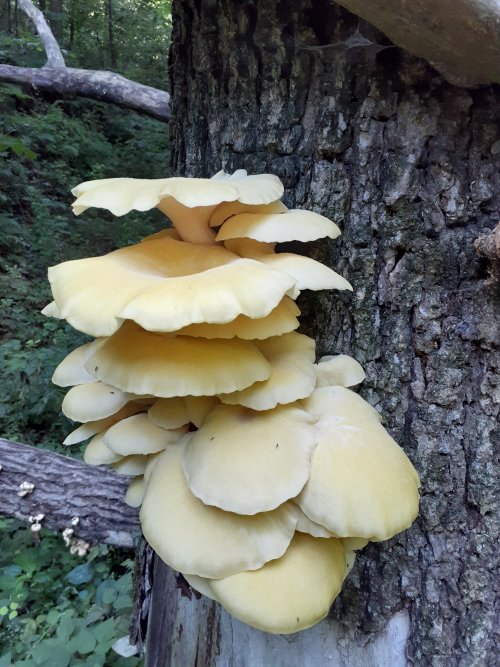 20220730_092038.jpg
