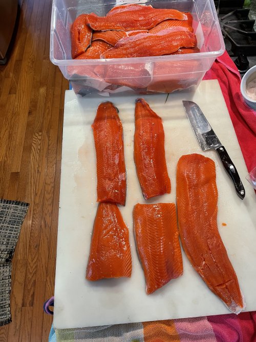 Prep fish for smoking.jpg