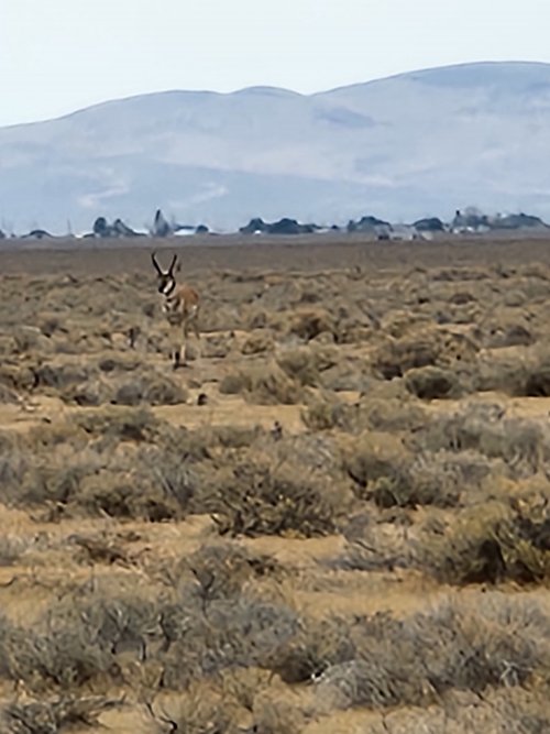 20220801_155230.jpg 20220801_155230.jpg