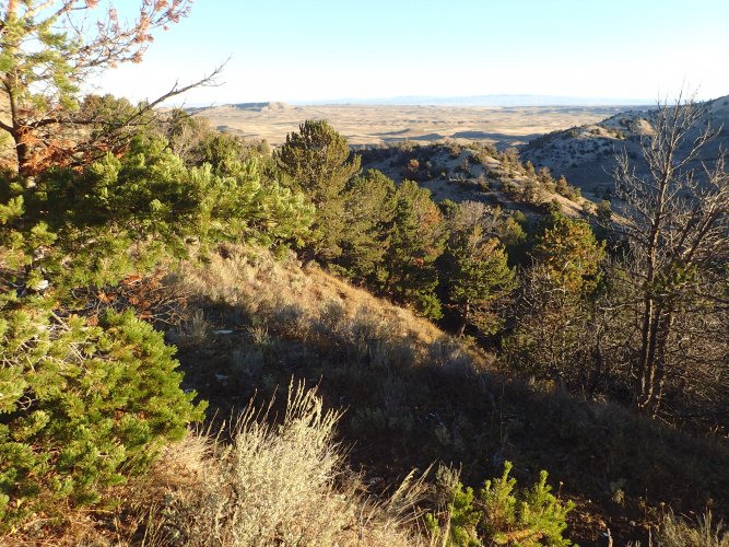 2016 View from camp.JPG 2016 View from camp.JPG