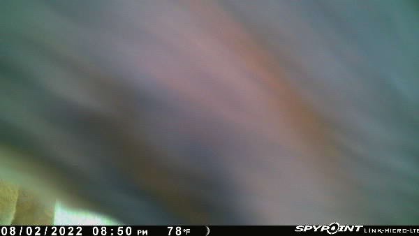 E722CB6A-4E6A-447A-A2F0-40009B368F95.jpeg