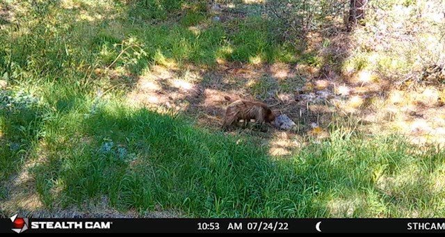 small bear pond.jpg small bear pond.jpg