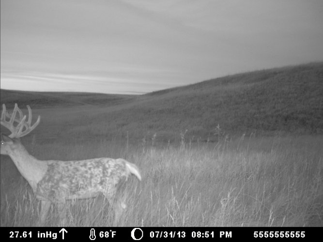 MDGC0386.JPG