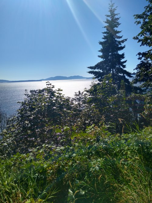 IMG_20220807_162831672_HDR.jpg