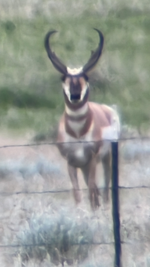 1660014897569.png 1660014897569.png