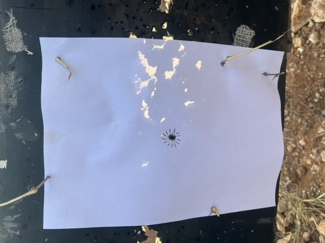 BC3C02AD-7969-484F-A555-8BA2F5879261.jpeg BC3C02AD-7969-484F-A555-8BA2F5879261.jpeg