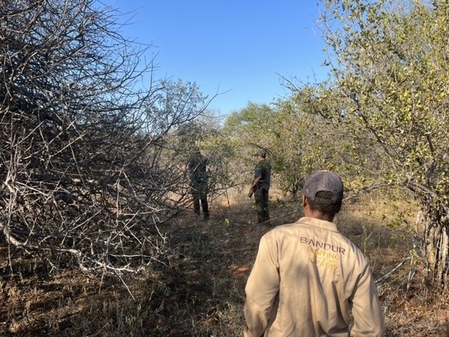 EB9A9241-A67C-4C80-AFE2-C1227D6BCF29.jpeg EB9A9241-A67C-4C80-AFE2-C1227D6BCF29.jpeg