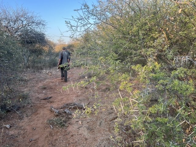 665986A4-FE16-4772-9589-045148AD2B8A.jpeg 665986A4-FE16-4772-9589-045148AD2B8A.jpeg