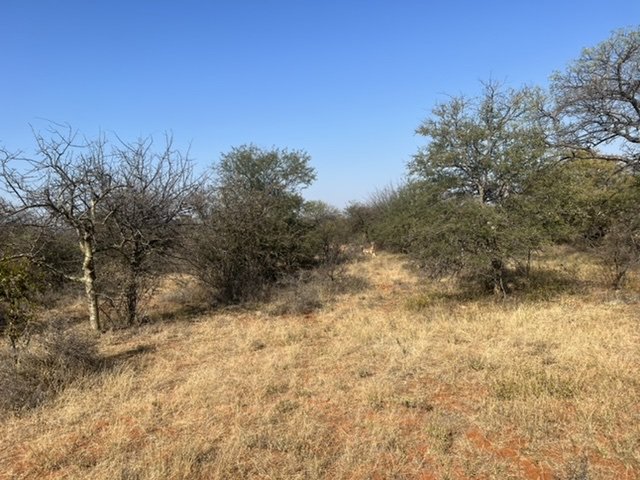 B29CFC22-5075-449B-965A-2633AD0926B0.jpeg B29CFC22-5075-449B-965A-2633AD0926B0.jpeg