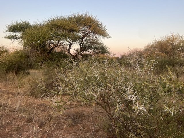 D066517A-980A-4510-83E5-9D6585233692.jpeg D066517A-980A-4510-83E5-9D6585233692.jpeg