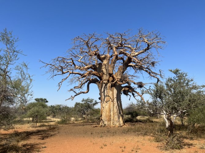 A3614115-AEDB-40A0-88BA-16FBABD047EA.jpeg A3614115-AEDB-40A0-88BA-16FBABD047EA.jpeg