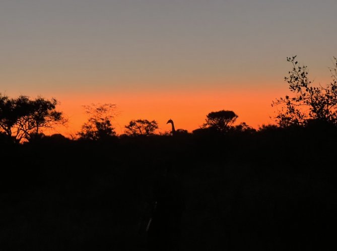 731A1655-5A1D-4A40-A77E-30625CCA6561.jpeg 731A1655-5A1D-4A40-A77E-30625CCA6561.jpeg