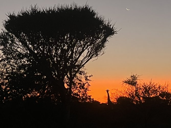 8546CEDE-D84B-4BE5-BB32-BA68463F3CC4.jpeg 8546CEDE-D84B-4BE5-BB32-BA68463F3CC4.jpeg