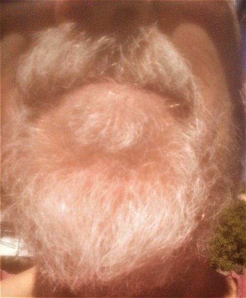 beard before.jpg