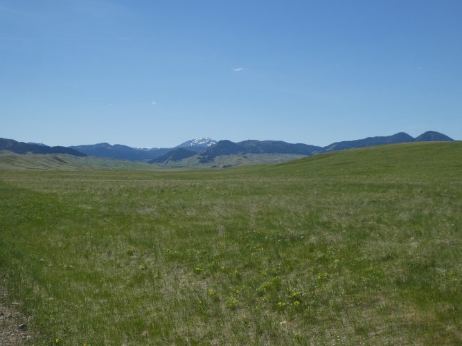 Sweetgrass Hills.JPG