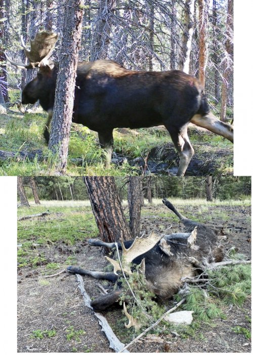 C6147400-811C-45E0-AEF2-D1C3CE19F0B1.jpeg C6147400-811C-45E0-AEF2-D1C3CE19F0B1.jpeg