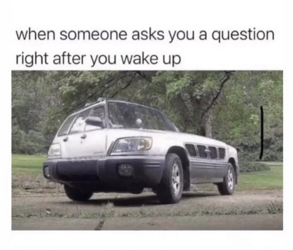 1660853295020.png