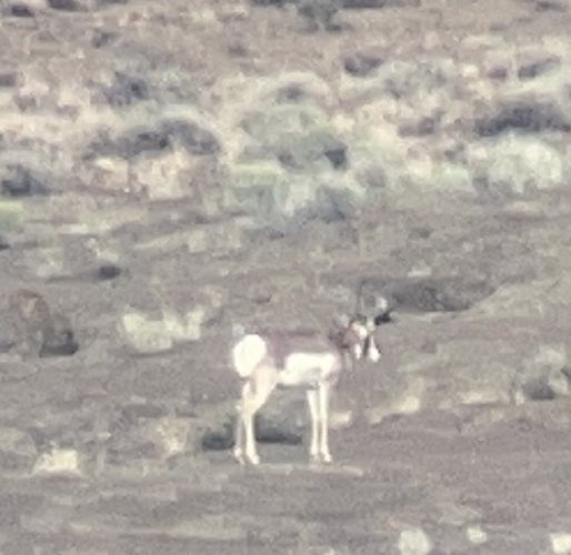 685B4545-BC62-4FA0-AB8A-8D0713B58900.jpeg 685B4545-BC62-4FA0-AB8A-8D0713B58900.jpeg