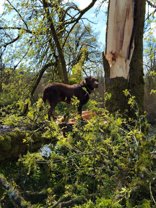 Ryker March 2022.jpeg