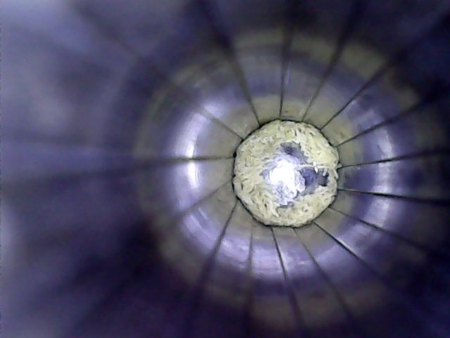 Snapshot000000.jpg Snapshot000000.jpg