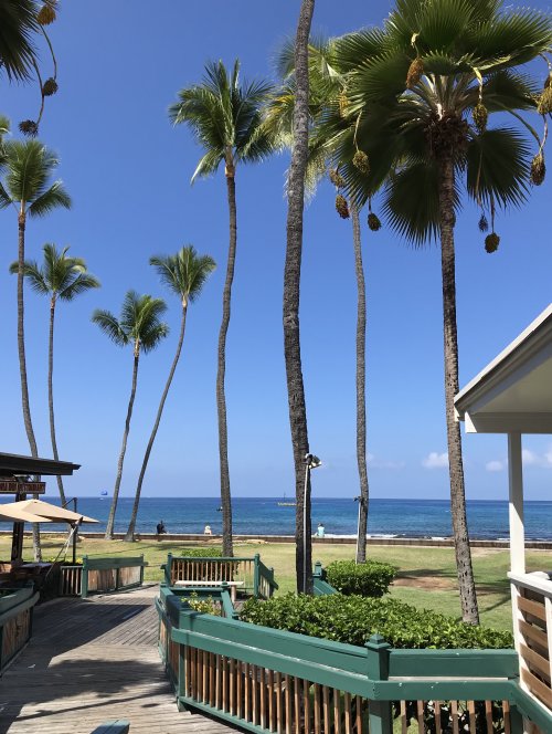 BDFACD12-8BA0-49E0-B2C0-3E8E604AC770.jpeg BDFACD12-8BA0-49E0-B2C0-3E8E604AC770.jpeg