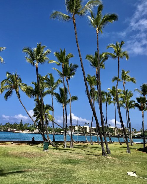 FD288A6D-055A-4298-A9C7-E4A6DCFF6383.jpeg FD288A6D-055A-4298-A9C7-E4A6DCFF6383.jpeg