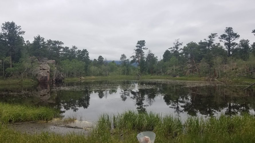 20220626_085116.jpg 20220626_085116.jpg