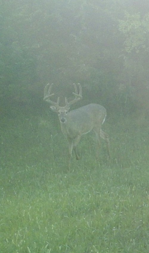 925A5AA2-3F0F-46BA-B56F-1DA569AC5400.jpeg 925A5AA2-3F0F-46BA-B56F-1DA569AC5400.jpeg