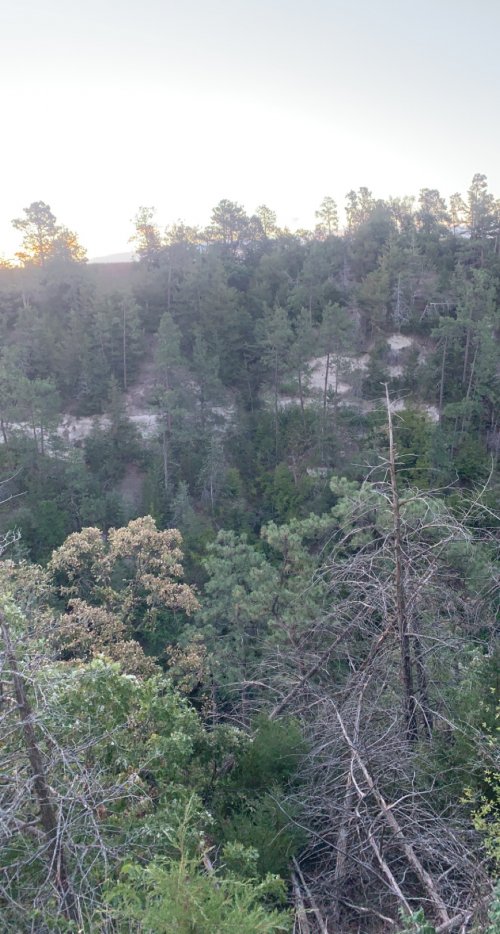 E7E01586-2081-4BC1-BF07-B98AB1F87A59.jpeg E7E01586-2081-4BC1-BF07-B98AB1F87A59.jpeg