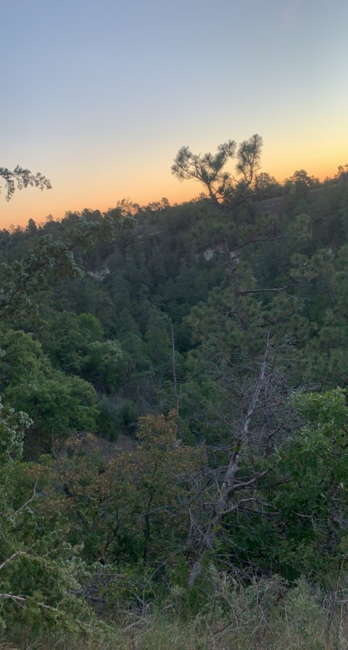 025815DD-B44C-446D-83D4-CB678337592D.jpeg 025815DD-B44C-446D-83D4-CB678337592D.jpeg