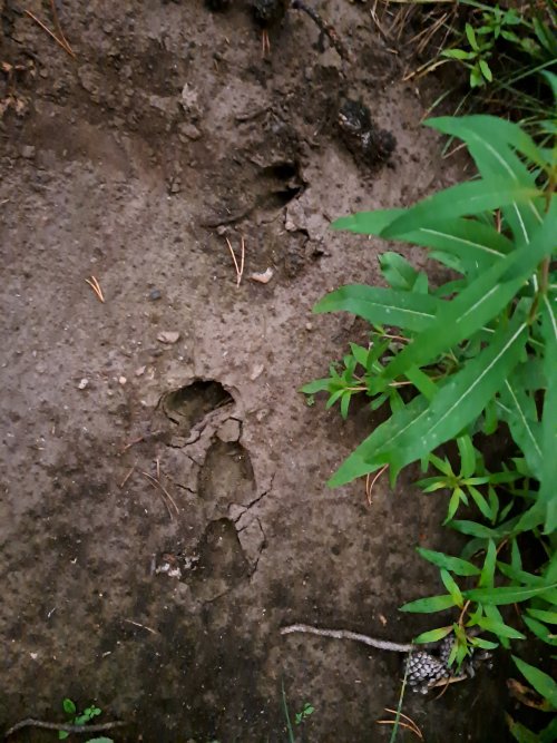 20220902_195335.jpg 20220902_195335.jpg