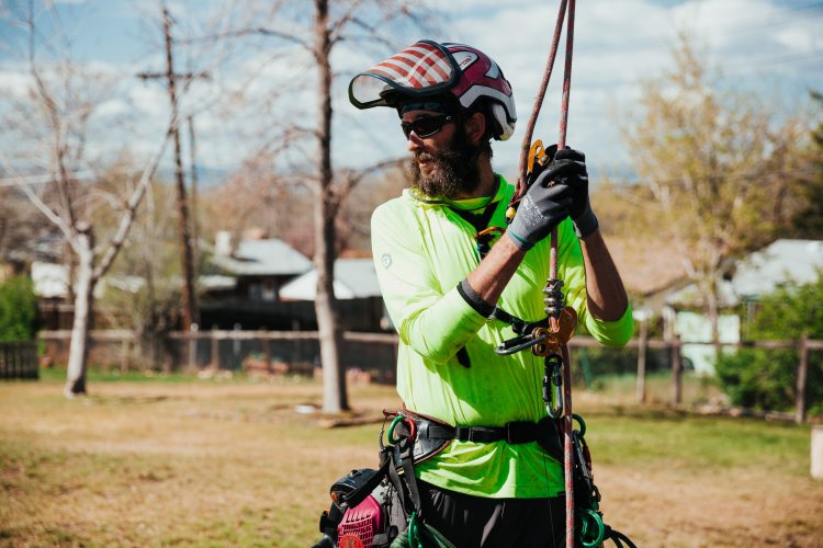 Maloney Tree Care-16.jpg