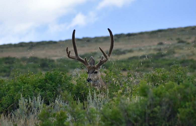 DSC_1415 2.JPG