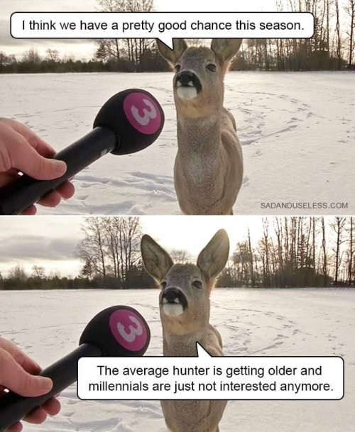 FB_IMG_1662687407557.jpg