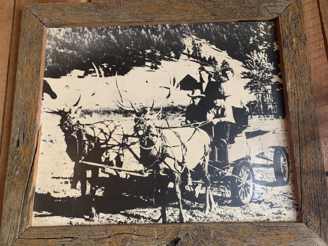 2BD0CB75-B1DA-4AD9-97DB-22024A7A6234.jpeg 2BD0CB75-B1DA-4AD9-97DB-22024A7A6234.jpeg