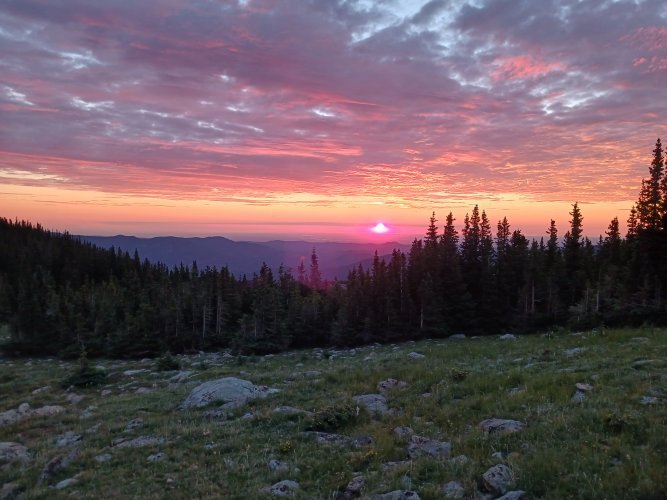 20220731_055943.jpg 20220731_055943.jpg