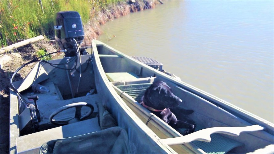 Scout_canoe.JPG Scout_canoe.JPG
